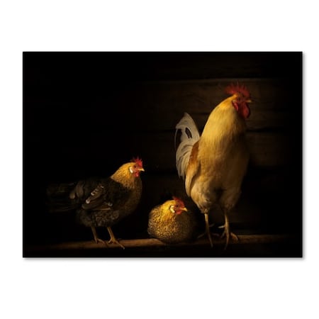 Lars Anker Rasch 'Farm Animals' Canvas Art,14x19